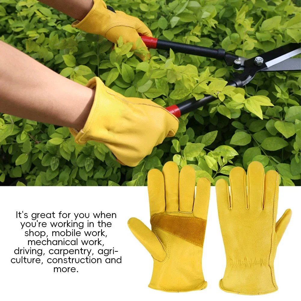 ถุงมือหนังสำหรับงานสวน ขับขี่ม - Leather Driving Glove บทวิจารณ์และราคา